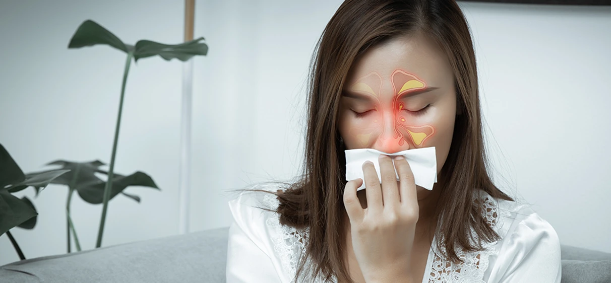 Sinus illustration on woman holding tissue to her nose